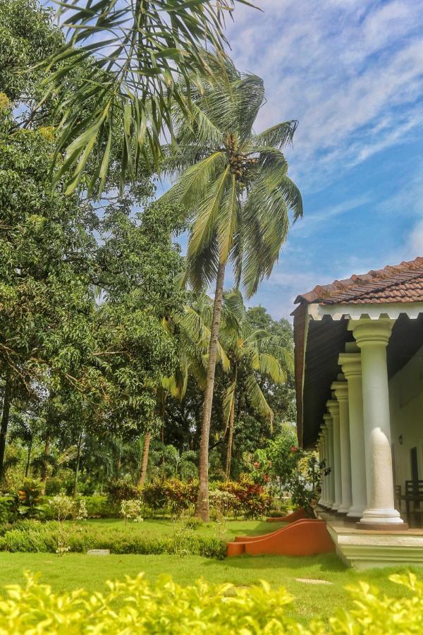 The Postcard Cuelim, Goa Hotel